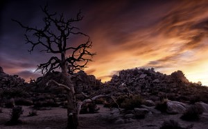 COURTESY OF MAC CENTER FOR THE ARTS - "Hidden Valley - Joshua Tree" by Cindy Smith