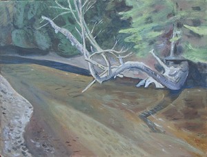 COURTESY OF SAM THURSTON - "Old Tree Over River" by Sam Thurston