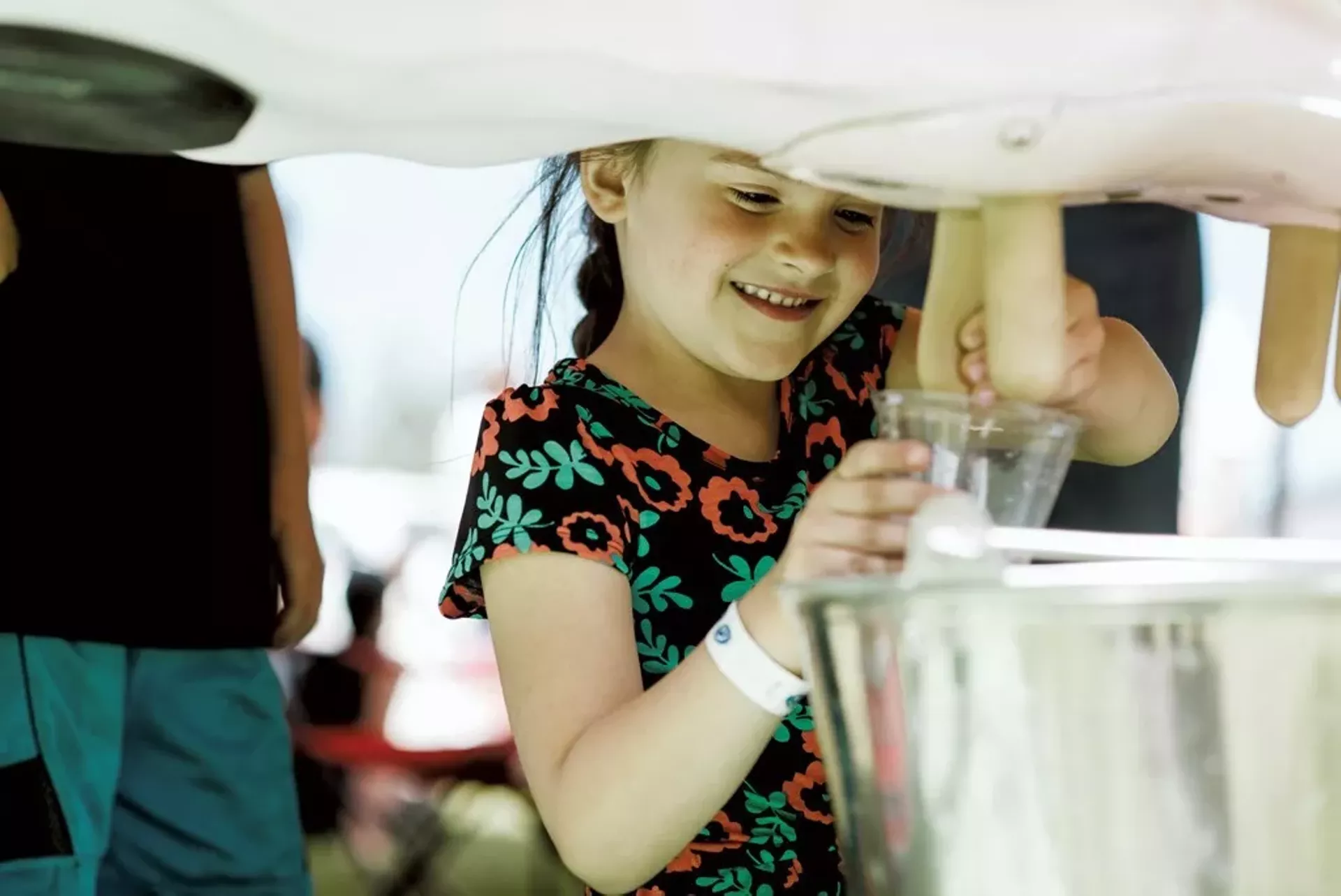 vermont_dairy_festival_file_sam_simon.webp