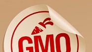 Vermont GMO-Labeling Bill Passes the House