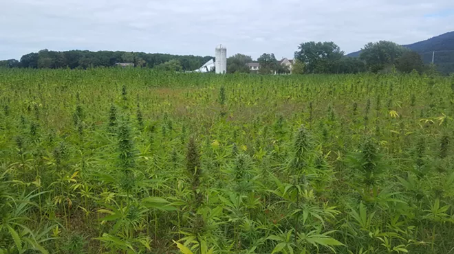 Image: Vermont Hemp Company Responds to &lsquo;Unfounded&rsquo; Lawsuit