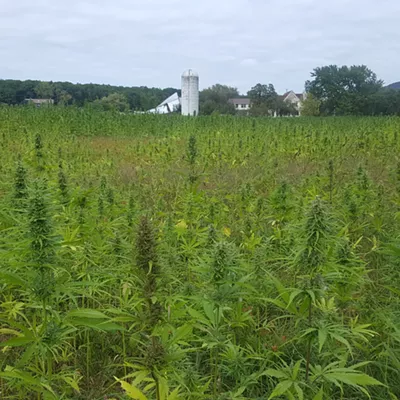 Image: Vermont Hemp Company Responds to &lsquo;Unfounded&rsquo; Lawsuit