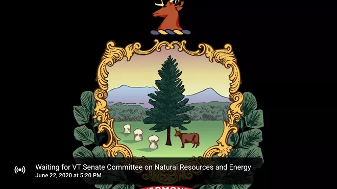 Image: Vermont Senate to Change Remote Meeting Policy After More Glitches