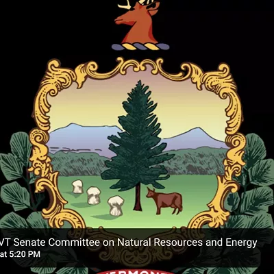 Image: Vermont Senate to Change Remote Meeting Policy After More Glitches