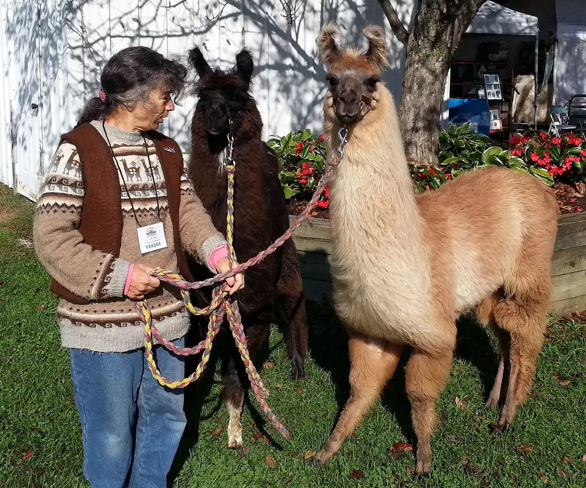 vermont_sheep___wool_festival_courtesy.webp