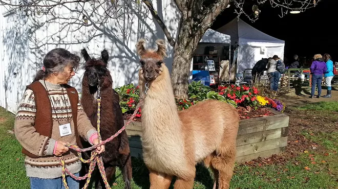 Image: Vermont Sheep & Wool Festival