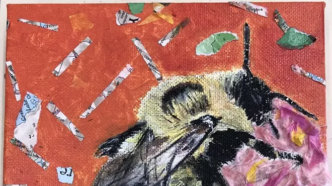 Image: Vermont Student Wildlife Art Contest