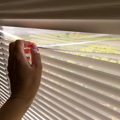 Image: Vermonters Are Watching Their Neighbors &mdash; and Reporting Them