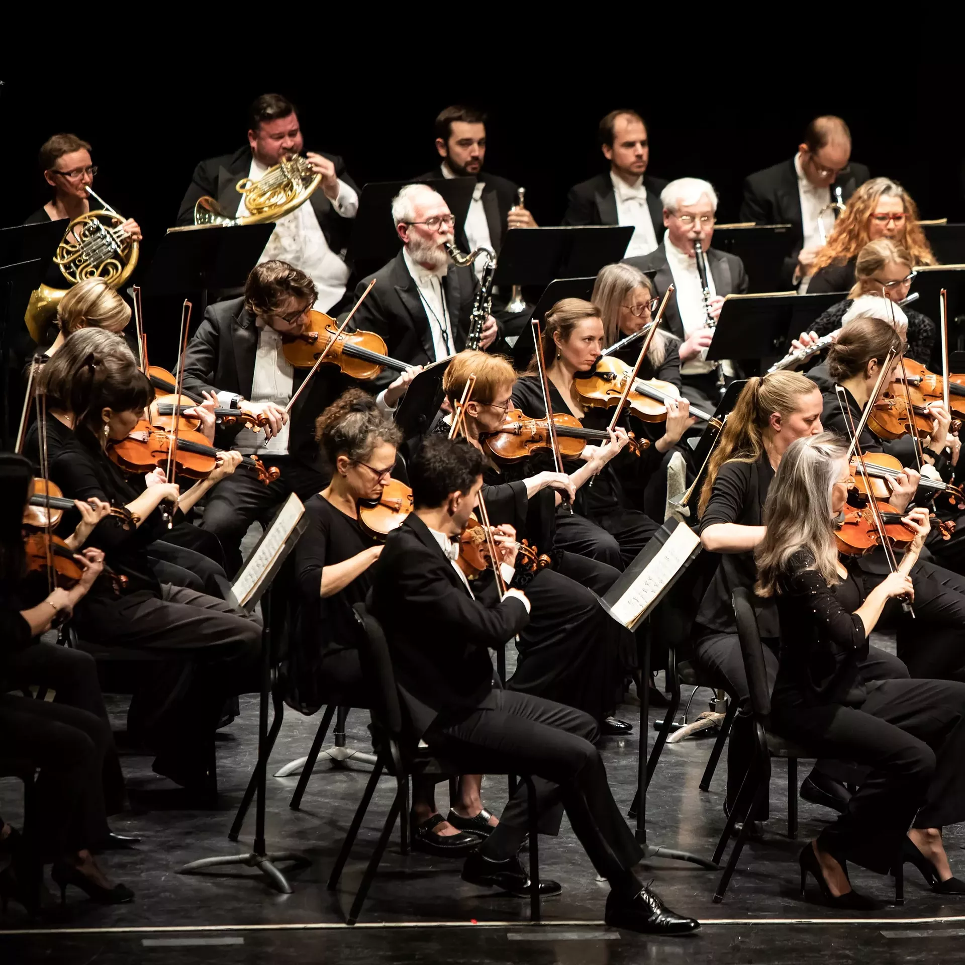 visualizer_orchestra_courtesy-calendar-spotlight-hamilton-2.webp