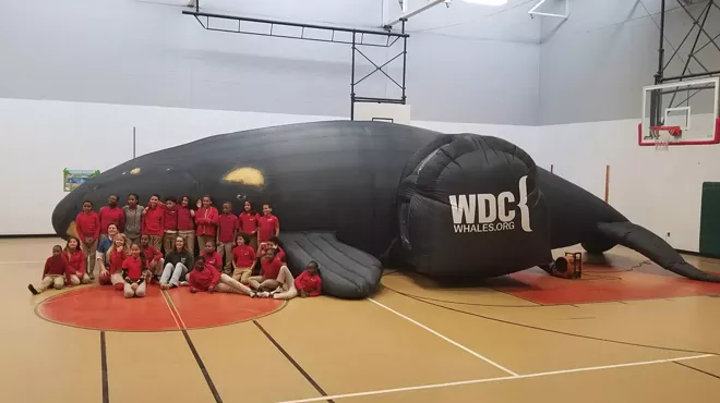 Image: Whale of a Day