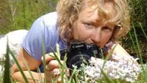 Wildflower Power: Photographer Kate Carter focuses on flora