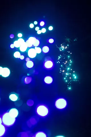 Image: Winter Lights